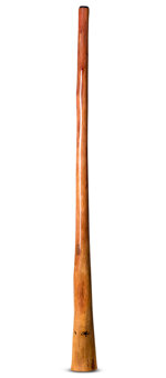 Tristan O'Meara Didgeridoo (TM313)